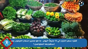 قفزة سعر الخيار إلى 12 جنيهاً اليوم.. ما هو مصير أسعار الليمون بعد استقرارها المتواصل؟